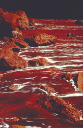 Rotsandiger Strand an dem wir bei unserem Ausflug in den Süden von El Hierro vorbeikommen.